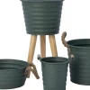 Intratuin plantenteil Guus groen D 26 H 11 cm