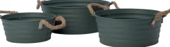 Intratuin plantenteil Guus groen D 26 H 11 cm