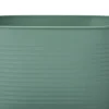 Intratuin plantenteil Radi groen 28 x 16 x 15 cm