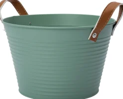 Intratuin plantenteil Radi groen D 23 H 15 cm