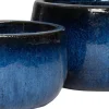 Intratuin schaal blauw D 36,5 H 22,5 cm