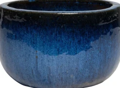 Intratuin schaal blauw D 36,5 H 22,5 cm