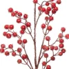 Intratuin tak met bessen 45 cm rood