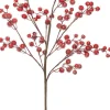 Intratuin tak met bessen 80 cm rood