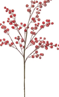 Intratuin tak met bessen 80 cm rood