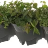 Intratuin verticale plantenbak 48 x 18 x 16 cm