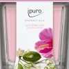Ipuro geurkaars Essentials Flower Bowl 26 uur D 7,1 H 7 cm