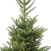 Japanse zilverspar kerstboom in pot 80 - 100 cm