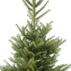 Japanse zilverspar kerstboom in pot 60 - 80 cm