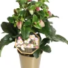 Kerstroos (Helleborus (HGC) 'Ice N' Roses® Early Rose') D 15 H 50 cm