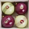 Kurt S. Adler kerstbal set Harry Potter rood / groen D 7,5 cm 4 stuks