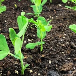 Makkelijke Moestuin voeding mix 20 L