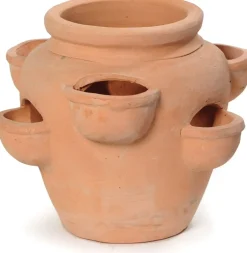 Mega Collections aardbeienpot 6 cups D 35 cm terracotta