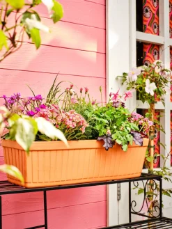 Mega Collections balkonbak Floreira terracotta 40 x 19 x 17 cm