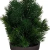 Mica Decorations decoratieboom Ivo groen D 7,5 H 24 cm