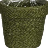 Mica Decorations plantenmand Raja groen D 17 H 17 cm