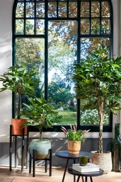 Mica Decorations plantenstandaard Ascot XL zwart 37,5 x 37,5 x 39,5 cm