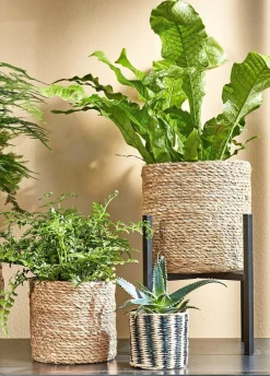 Mica Decorations plantenstandaard Ascot XL zwart 37,5 x 37,5 x 39,5 cm