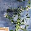 Mica Decorations plantensteun uitbreiding cirkel goud D 28 cm