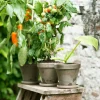 Mica Outdoor bloempot Stan D 17,5 H 15,5 cm grijs