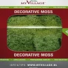 My Village kerstdorp ondergrond rendiermos 50 g groen