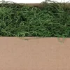 My Village kerstdorp ondergrond Tillandsia mos mat groen 500 g