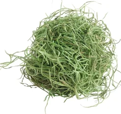 My Village kerstdorp ondergrond Tillandsia mos mat groen 500 g