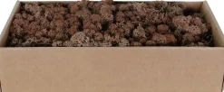 My Village kerstdorp ondergrond rendiermos 500 g bruin 38 x 19 x 9,3 cm