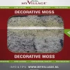 My Village kerstdorp ondergrond rendiermos 50 g naturel