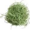 My Village kerstdorp ondergrond Tillandsia mos mat groen 50g