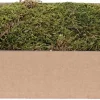 My Village kerstdorp ondergrond Tillandsia mos groen / bruin 500 g