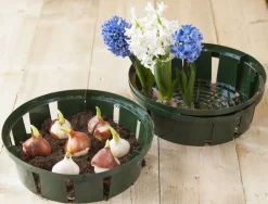 Nature bollenplantmand groen D 26 H 7,5 cm 3 stuks