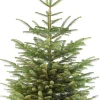 Nordmann kerstboom gezaagd 150 - 175 cm
