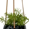PT Living hangpot Skittle zwart D 12,2 H 9,5 cm