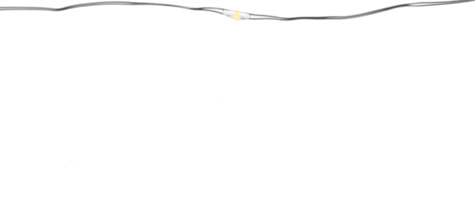 SiD draadverlichting met 20 LED lampjes warm wit 2 m
