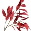 Silk-Ka kunsttak Eucalyptus 119 cm rood
