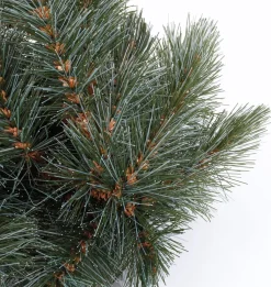 Triumph Tree guirlande Forest frosted besneeuwd 270 cm