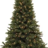 Triumph Tree kunstkerstboom Romagne met 480 lampjes warm wit D 168 H 260 cm