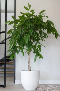 TS bloempot Cas grijs D 39 H 36 cm