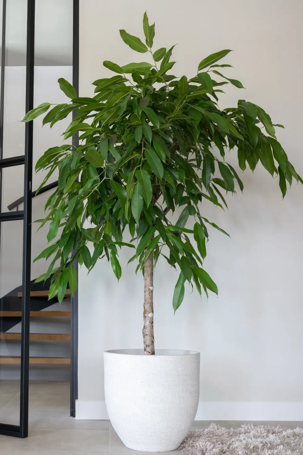TS bloempot Cas grijs D 39 H 36 cm
