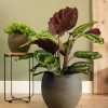 TS bloempot Dex groen D 28 H 25 cm