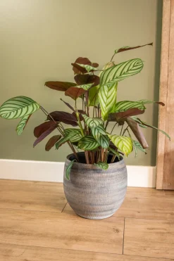 TS bloempot Dex wit / grijs D 22 H 20 cm