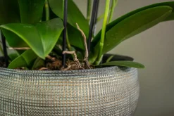 TS bloempot Dex wit / grijs D 28 H 25 cm