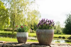 TS Collection bloempot Dyon paars D 27 H 23 cm