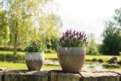 TS Collection bloempot Dyon paars D 22 H 19 cm