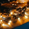 Twinkly kerstverlichting kapjes Mini Caps D 1,5 cm 100 stuks