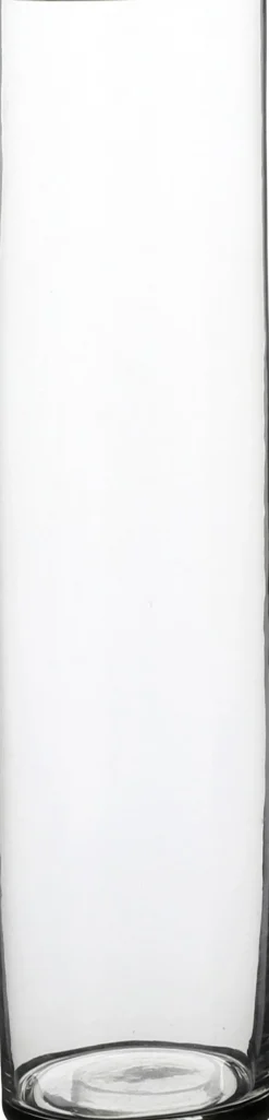 Vaas Carly transparant D 9 H 40 cm