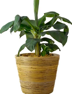 Van der Leeden bloempot streep grijs D 43 H 33 cm