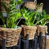 Van der Leeden plantenmand Abaca naturel D 45 H 42 cm