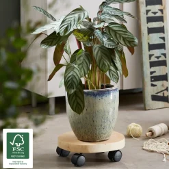 Wagner System plantentrolley naturel D 25 H 8 cm